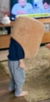 집을 빼앗겨 망연자실한 고양이_3.jpg