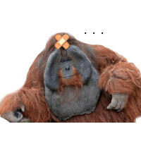 약을 환불 받으러 온 할머니_2.jpg