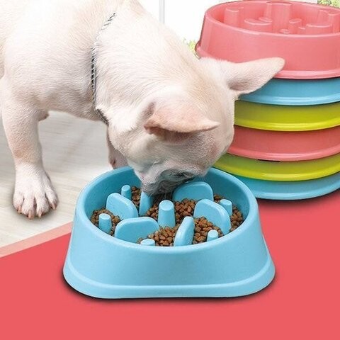 효과만점 강아지 급체 방지 밥그릇 gif_1.jpg