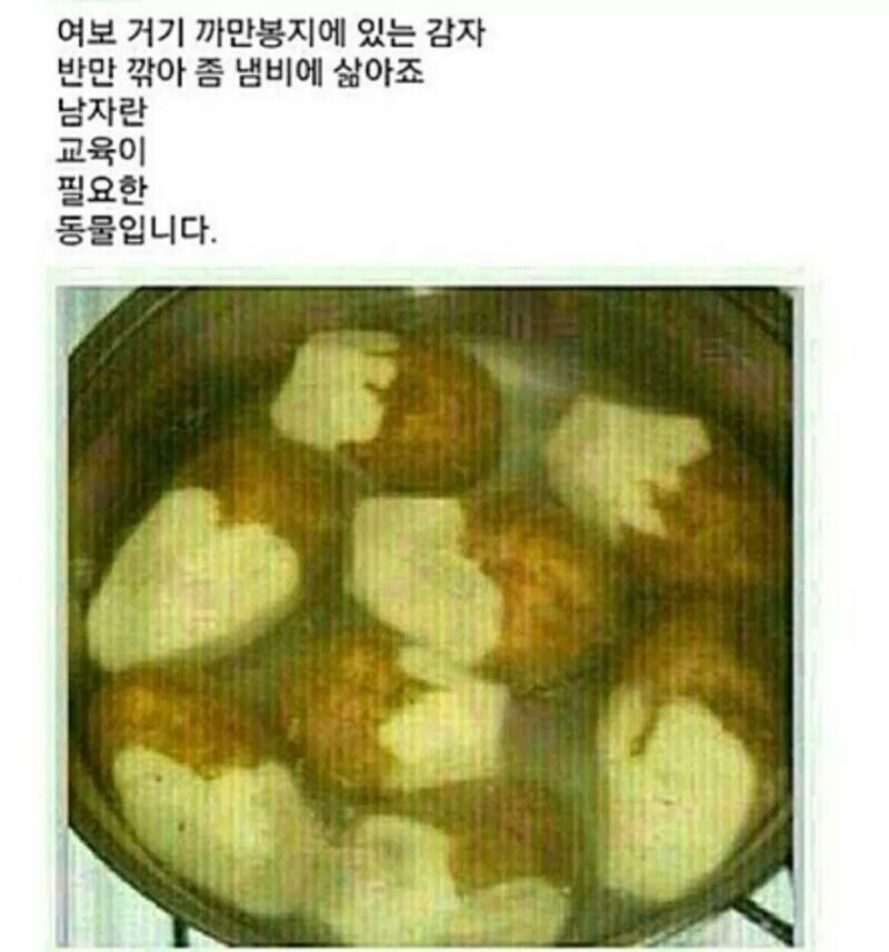 남자는 교육이 필요한 동물이라는 아내 .jpg_1.jpg