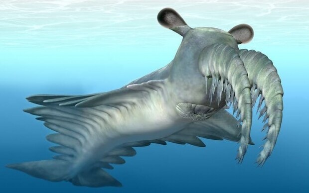 3.1절 특집] 한반도 시대별 사람들 생김새에 대해 알아보자_12.jpg