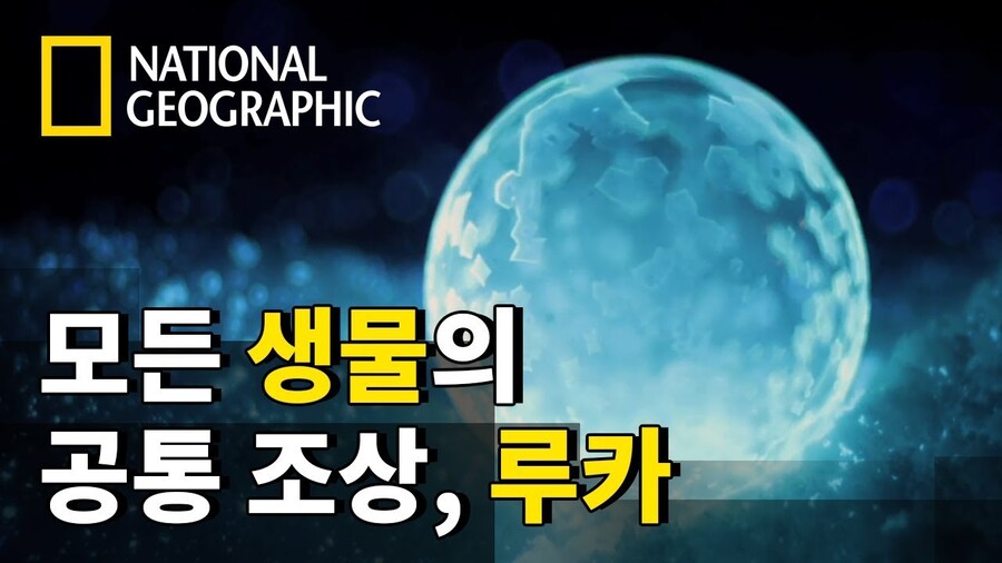 3.1절 특집] 한반도 시대별 사람들 생김새에 대해 알아보자_15.jpg