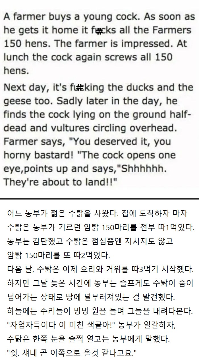 농부와 생수킹 수탉.jpg_1.png