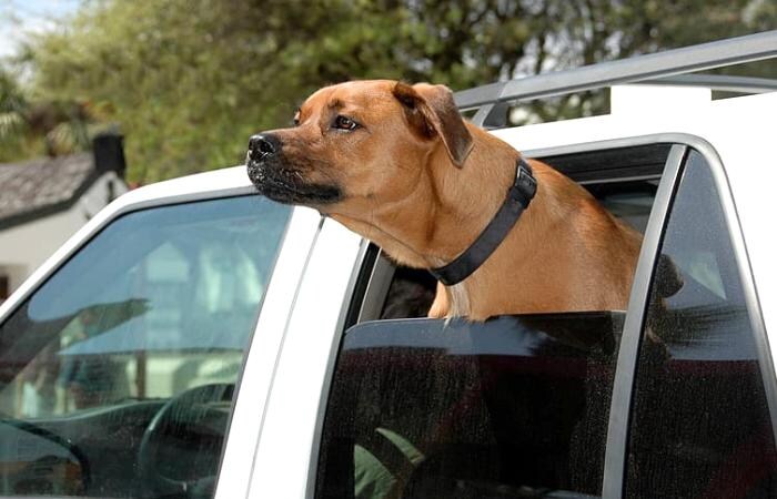 어릴 적 부모님이 차 창문 밖으로 고개 내밀지 말라고 했던 이유_3.jpg