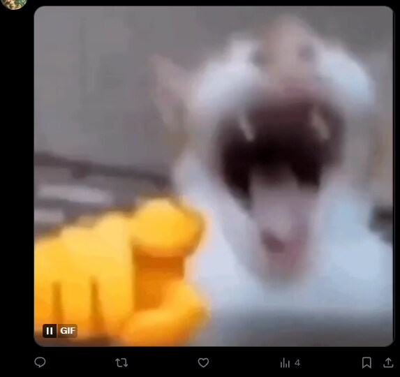 이란국민들이 독재자가 뒤질때 환호하는 이유_2.png