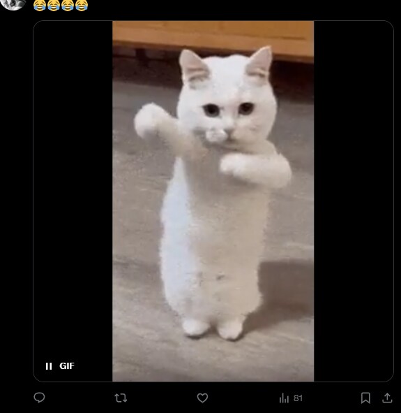 이란국민들이 독재자가 뒤질때 환호하는 이유_3.png