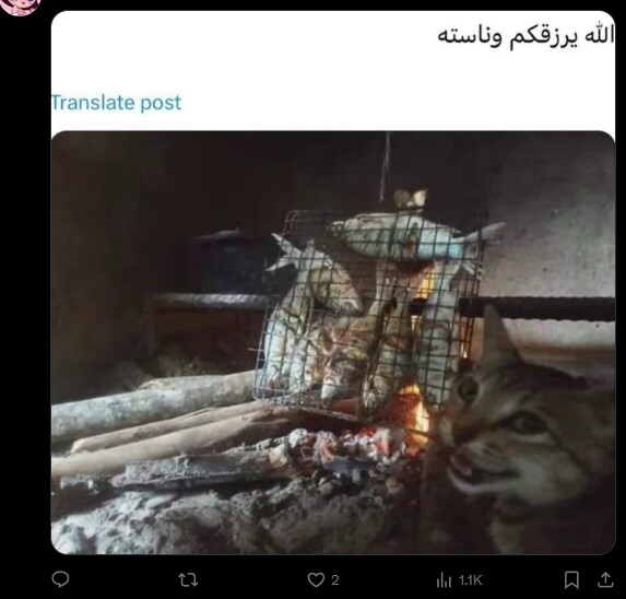 이란국민들이 독재자가 뒤질때 환호하는 이유_6.png