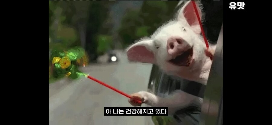 미국에서 파는 건강 음료_6.jpg