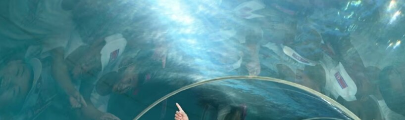 아쿠아리움 구경하는 북한 소년들_2.png