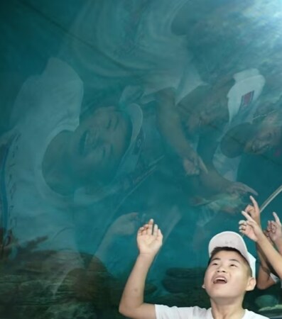 아쿠아리움 구경하는 북한 소년들_3.png