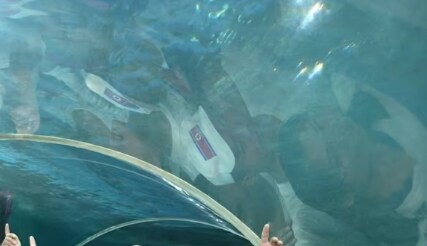 아쿠아리움 구경하는 북한 소년들_4.png