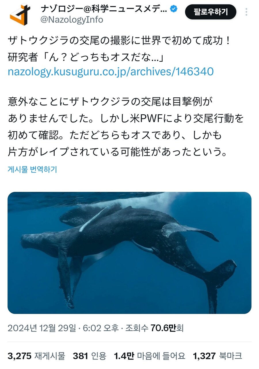 세계 최초로 촬영성공한 혹등고래의 교미_1.jpg
