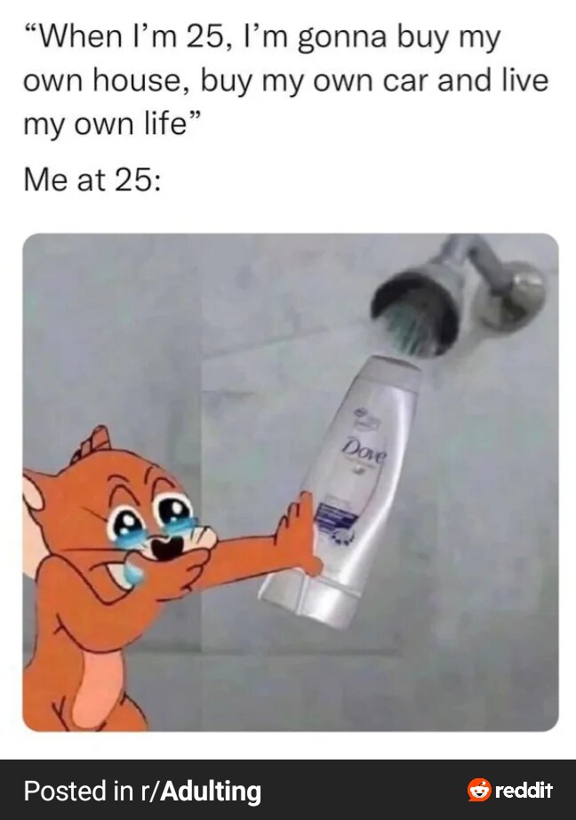 25살 되면 내집 내차 사고 내 인생을 살거야_1.png