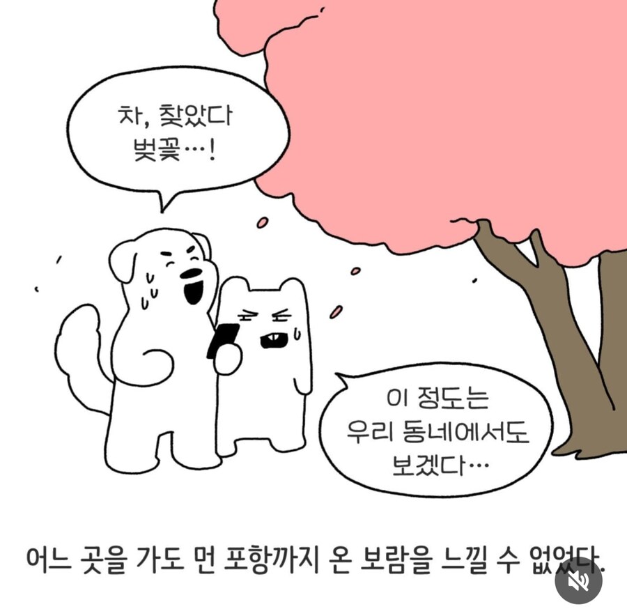 갑자기 뜬금없이 포항으로 여행가자는 남친_3.jpg