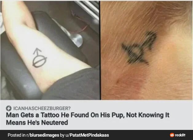 훈훈한 저주받은 문신_1.png