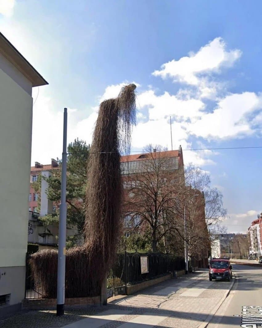 야밤에 가로등을 조심해.jpg_1.jpg