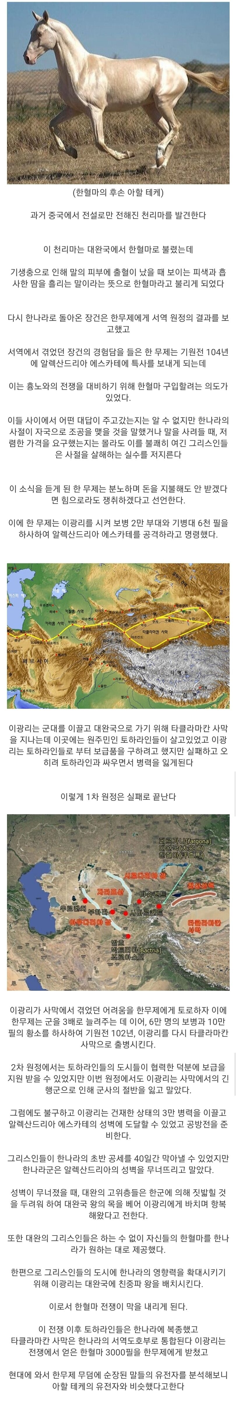 한나라에서 보낸 사신 모가지를 따버린 나라.img_1.png