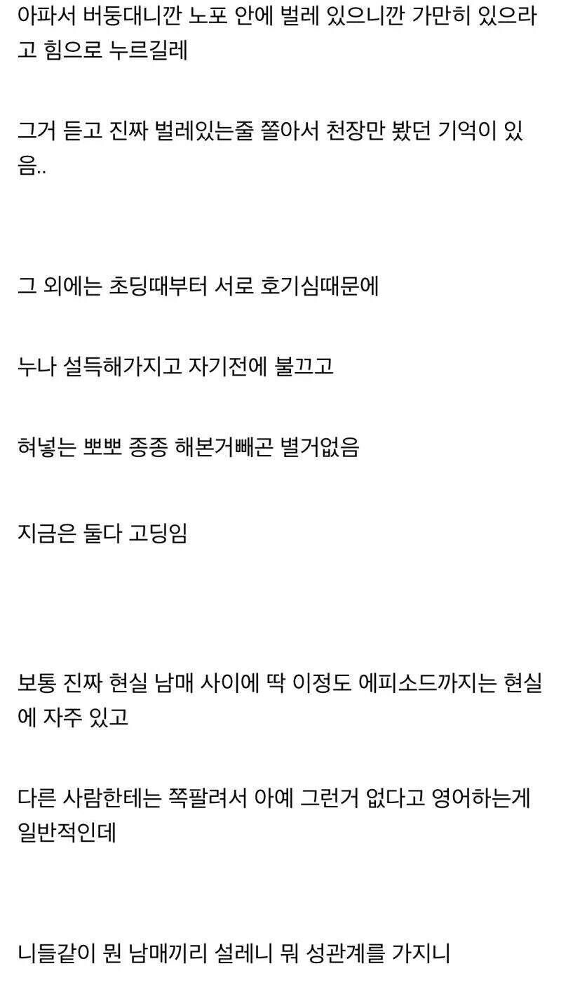 친누나랑 근친 소설 좀 쓰지 마라_3.png