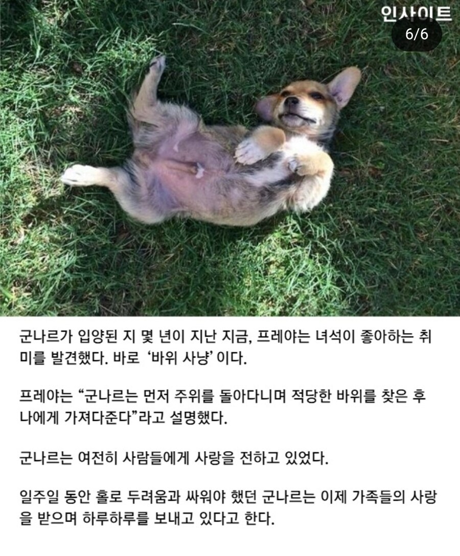자길 구해주러 온 사람에게 식빵을 건넨 유기견_6.jpg