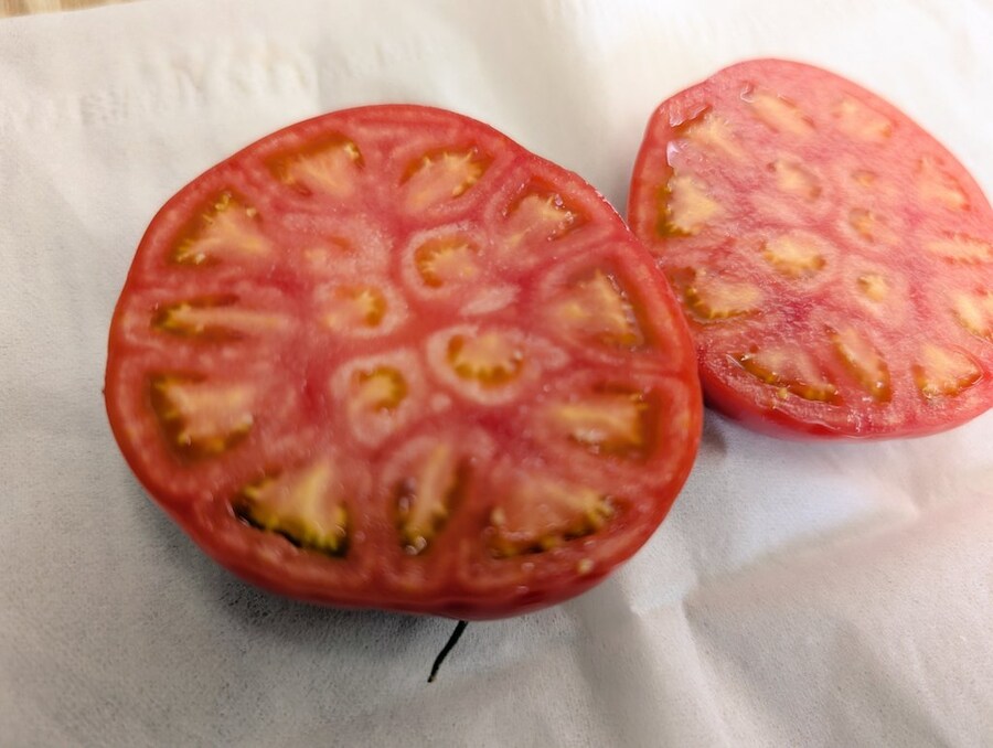 좀 큼직한 토마토의 단면_2.jpg
