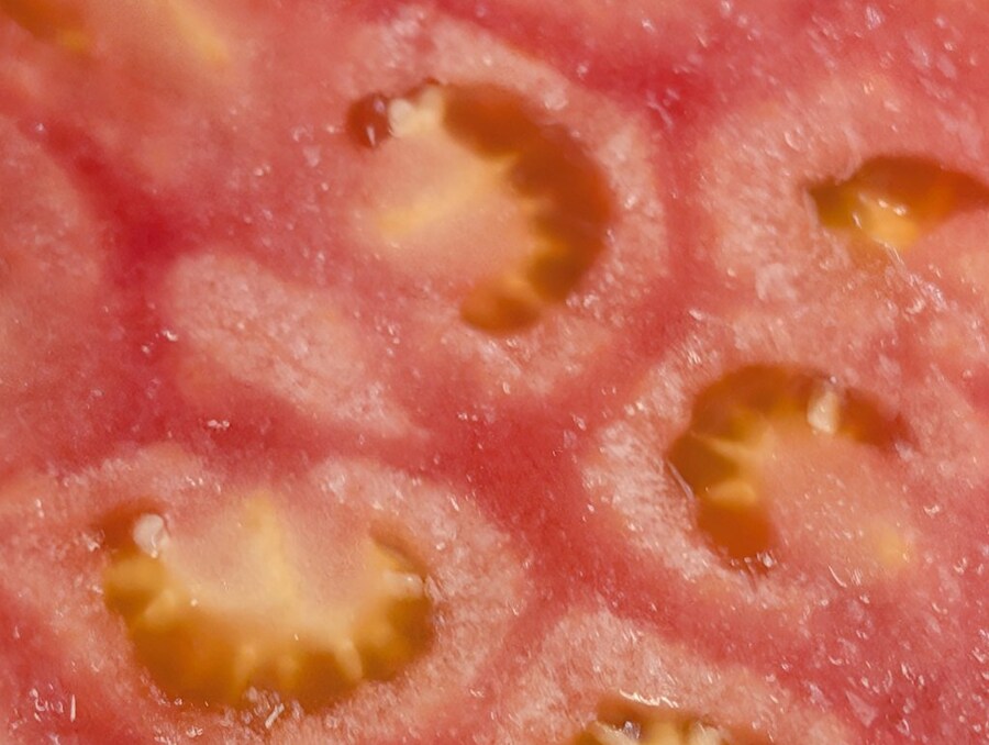 좀 큼직한 토마토의 단면_3.jpg