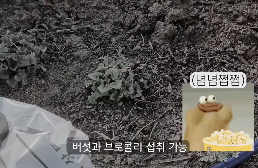 30대가 되면 자랑할 수 있는 스펙_6.jpg