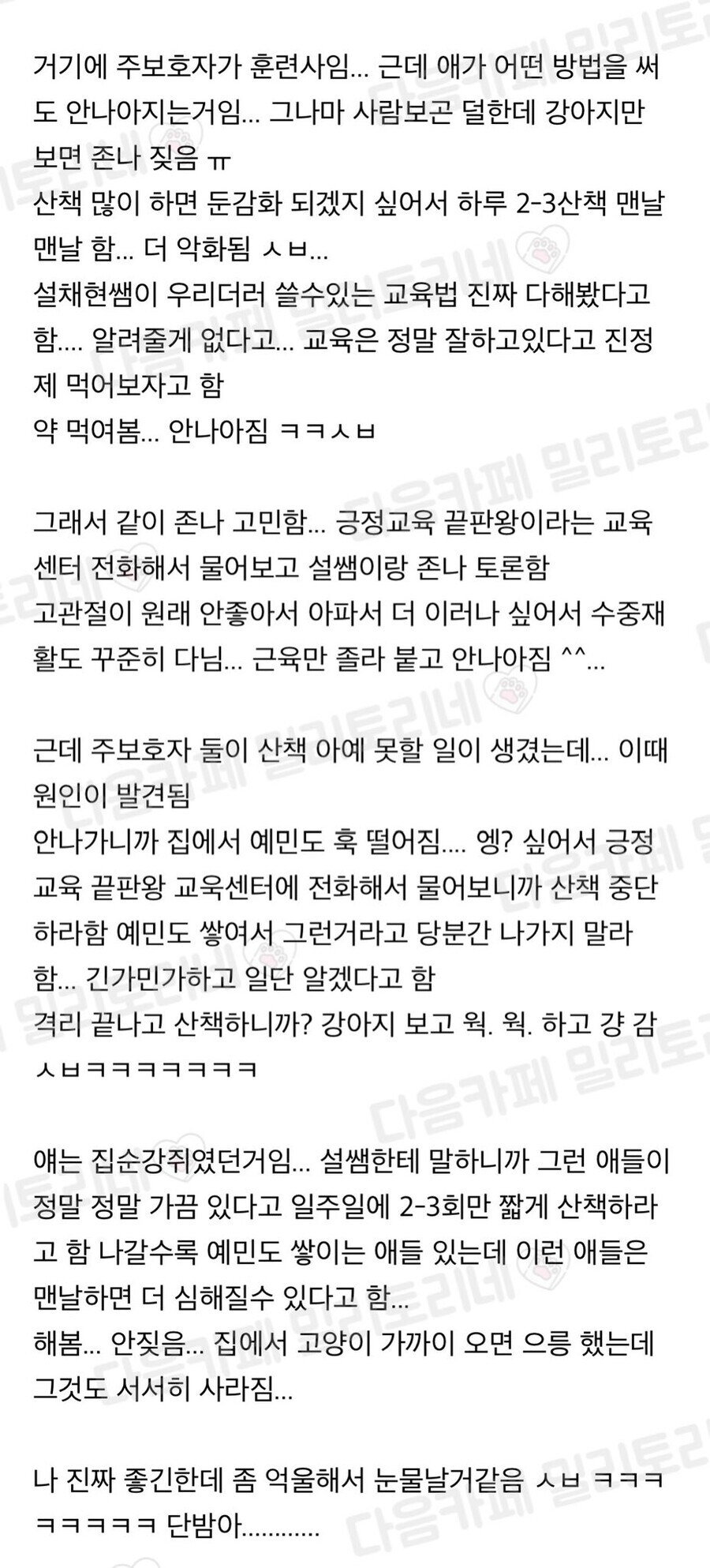 울 강쥐 산책교육때문에 돈 오지게 썼는데 결론이 존내 허무해_2.jpg