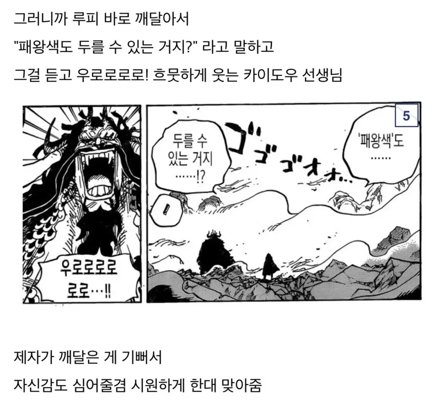 원피스 루피의 스승 카이도_2.webp