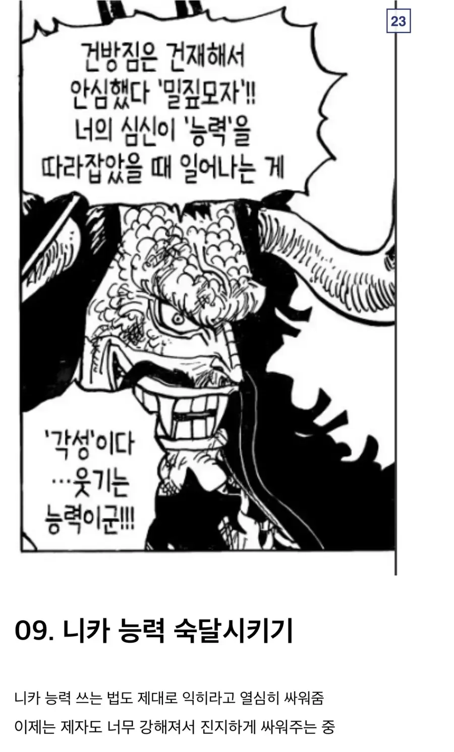 원피스 루피의 스승 카이도_4.webp