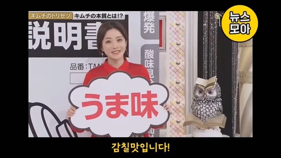 기무찌가 아닌 진짜 김치를 분석하는 NHK_3.jpg