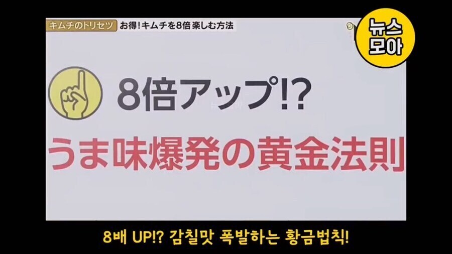 기무찌가 아닌 진짜 김치를 분석하는 NHK_4.jpg