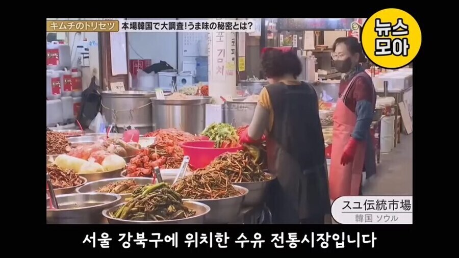 기무찌가 아닌 진짜 김치를 분석하는 NHK_5.jpg