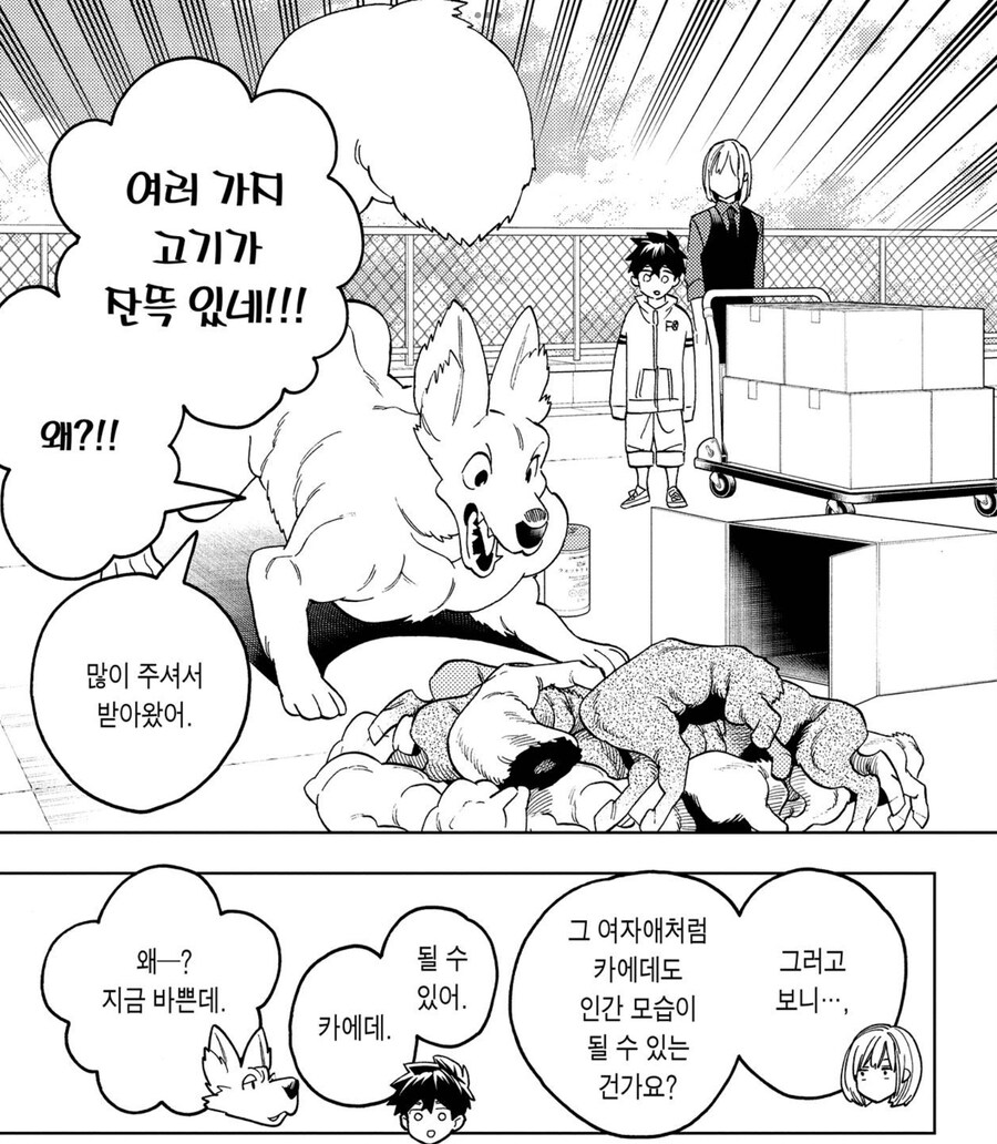 여우 요괴를 인간 모습으로 둔갑시키지 않는 이유_2.jpg