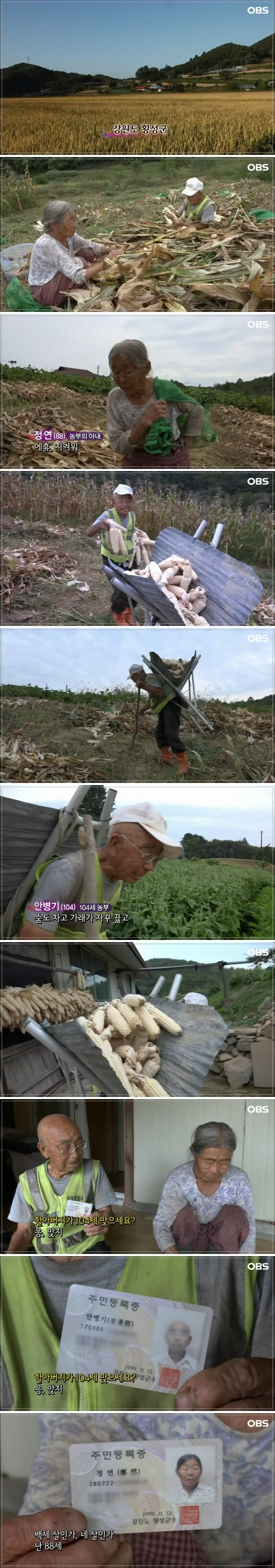 104세 농부 할아버지 식단_1.jpg