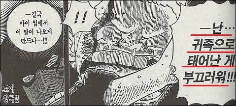 원피스 주인공 루피가 받은 가장 큰 특혜_2.jpg