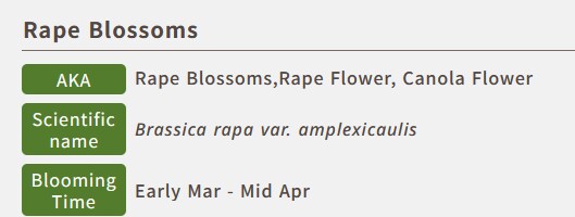 영미권 사람들이 차마 원래 이름으로 부르지 못하는 식물_3.png