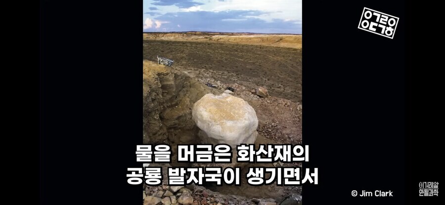 공룡)