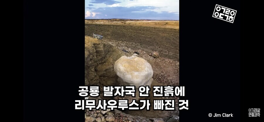 공룡)