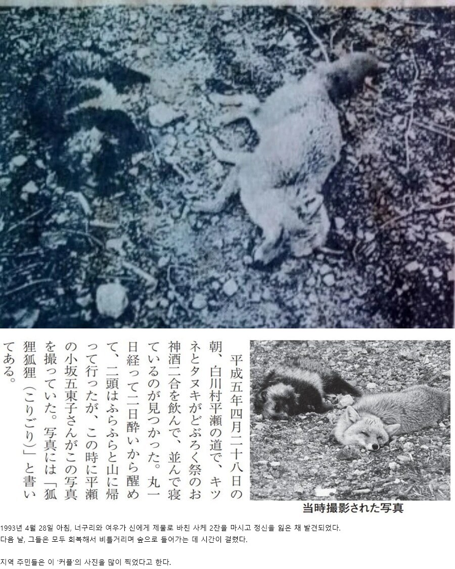 신사에 술을 바쳤더니 나타난 녀석들의 최후_1.png