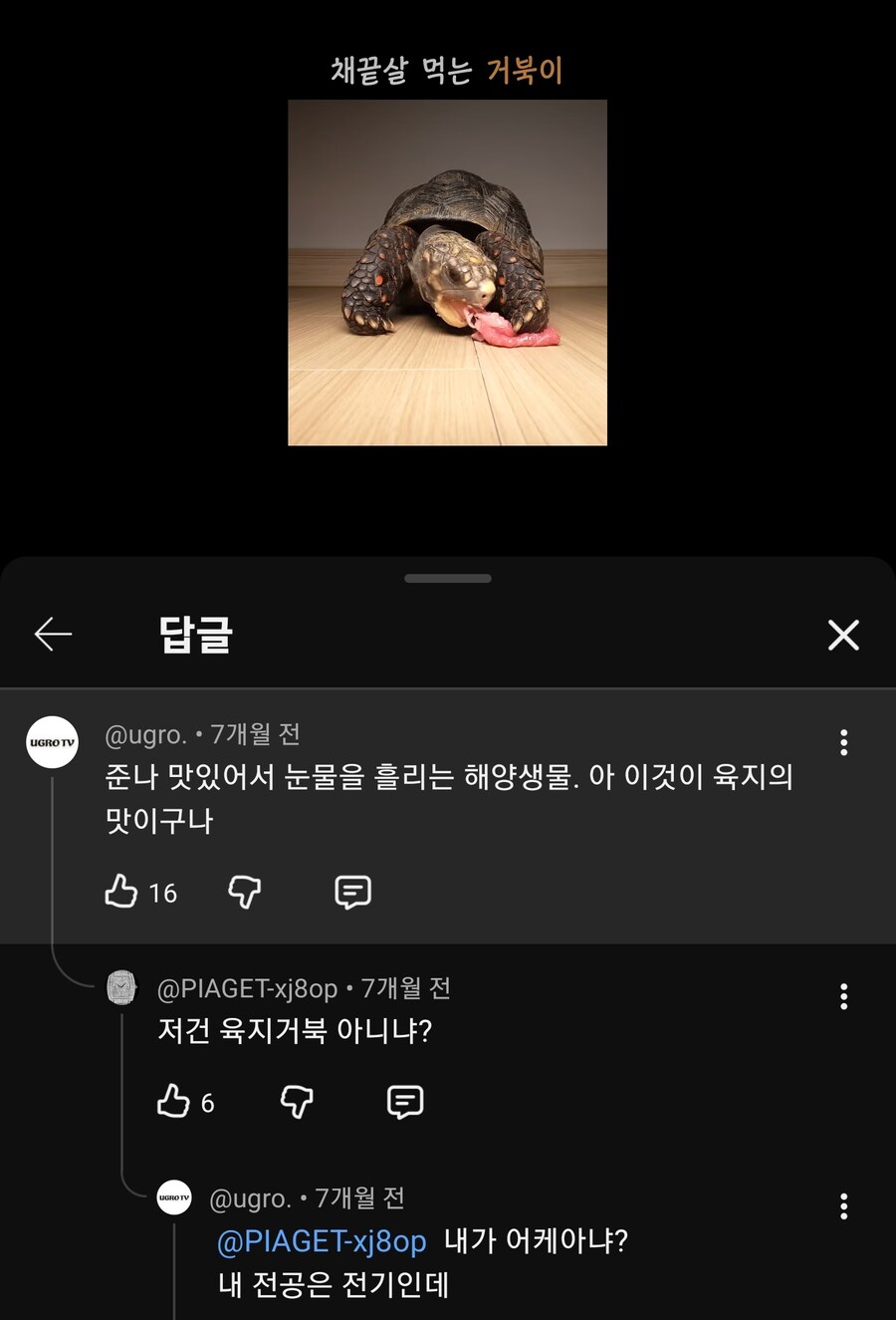 내 전공 아니면 당연히 모르지_1.jpg