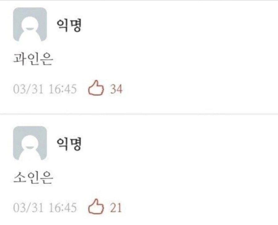 에세이 쓸때 1인칭 뭐라고 쓰냐?_3.jpg