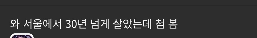 서울에서 30년 넘게 살아도 처음 보는것 .jpg_1.jpg