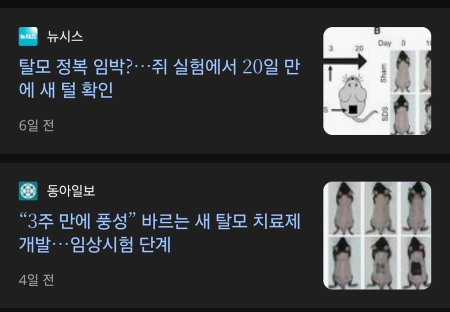 수많은 실험과 자금으로 이루어낸 업적.jpg_1.jpg