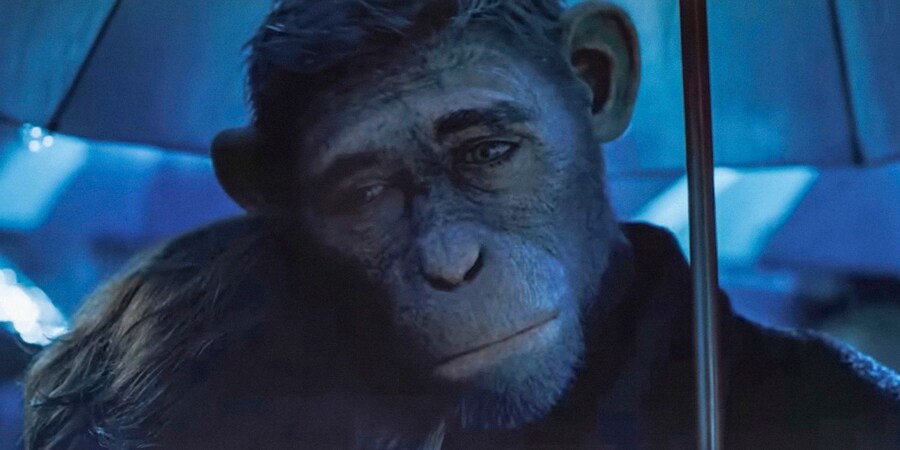 모르는 사람이 보면 완성도 높은 AI영상이라고 착갈 할 영화.movie_2.jpg