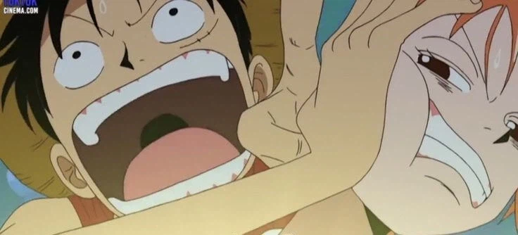 원피스에서 밀짚모자 일당만 가능한 작전_2.webp