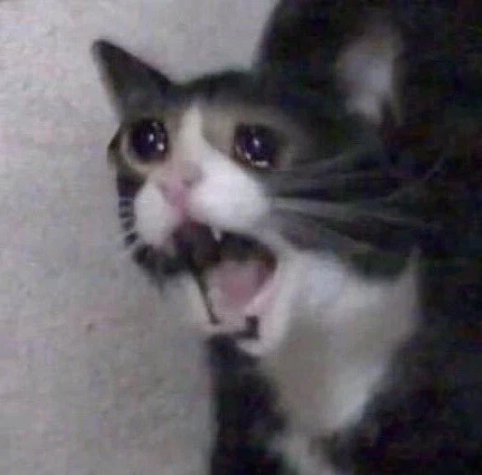 20년전 동인으로 첫 참가에 200부 찍었던 사람의 최후_2.webp