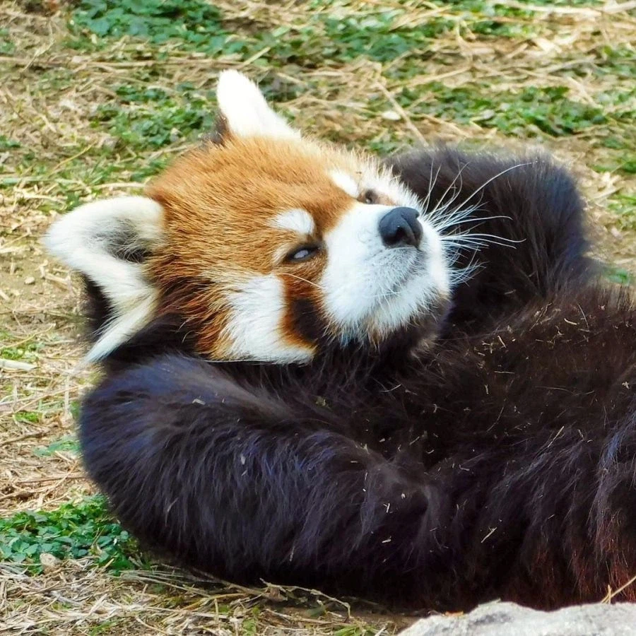 사실 나 병을 가지고 있어.._2.webp