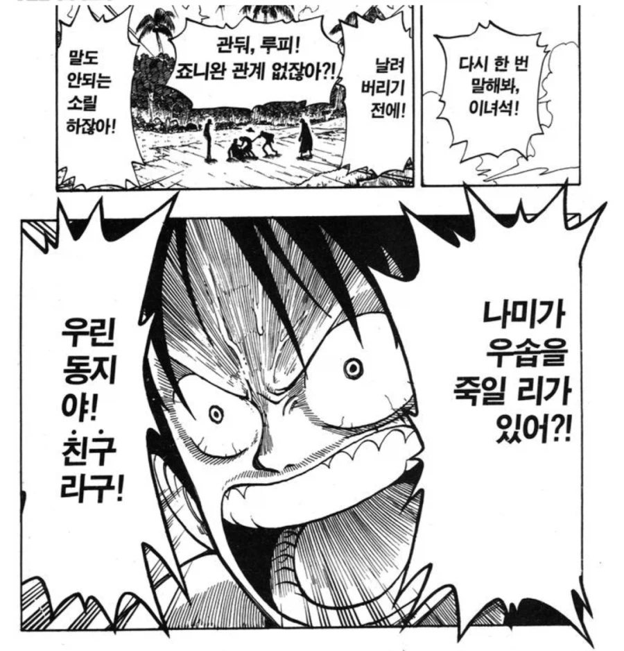 원피스에서 밀짚모자 일당만 가능한 작전_4.webp