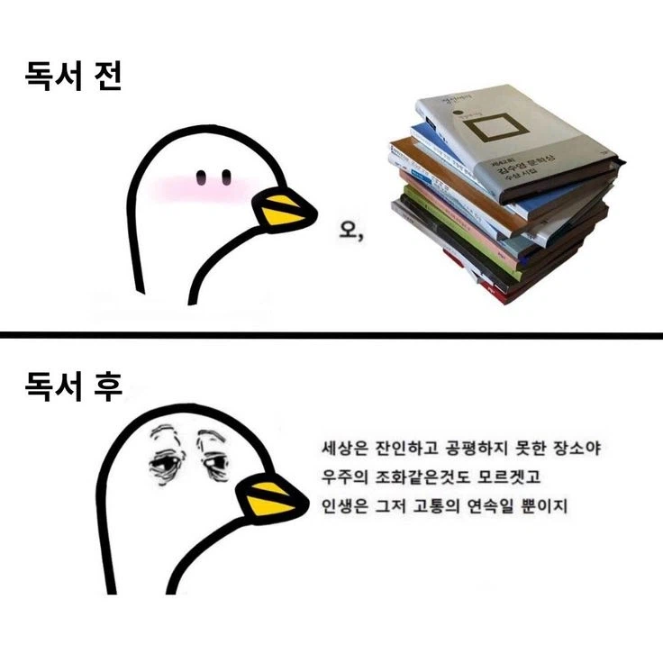 마음을 달래주는 독서.jpg_1.webp