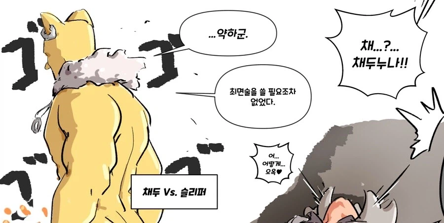 포켕몬)4배상성 타입을 무시하고 이기는 방법_3.webp